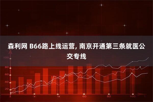 森利网 B66路上线运营, 南京开通第三条就医公交专线