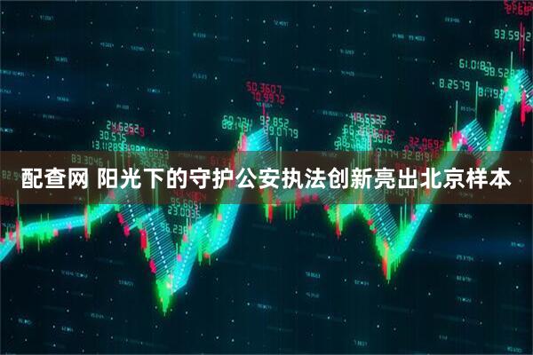 配查网 阳光下的守护公安执法创新亮出北京样本