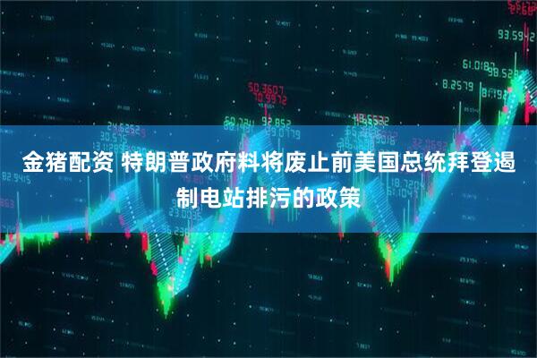 金猪配资 特朗普政府料将废止前美国总统拜登遏制电站排污的政策
