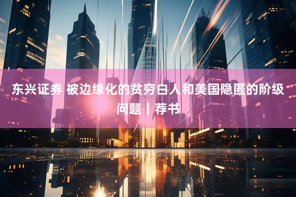 东兴证券 被边缘化的贫穷白人和美国隐匿的阶级问题｜荐书