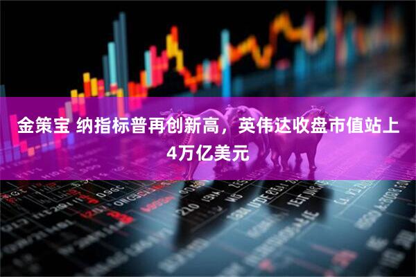 金策宝 纳指标普再创新高，英伟达收盘市值站上4万亿美元