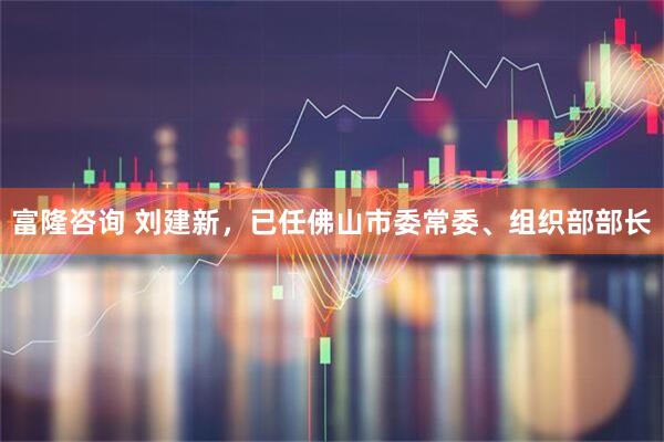 富隆咨询 刘建新，已任佛山市委常委、组织部部长