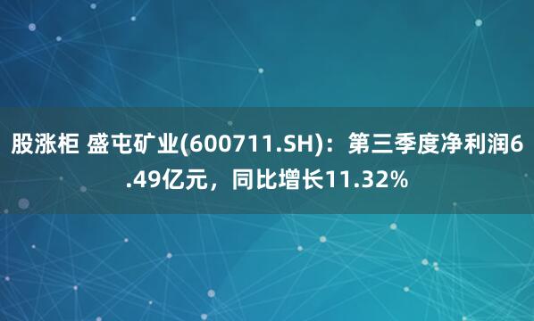 股涨柜 盛屯矿业(600711.SH)：第三季度净利润6.49亿元，同比增长11.32%