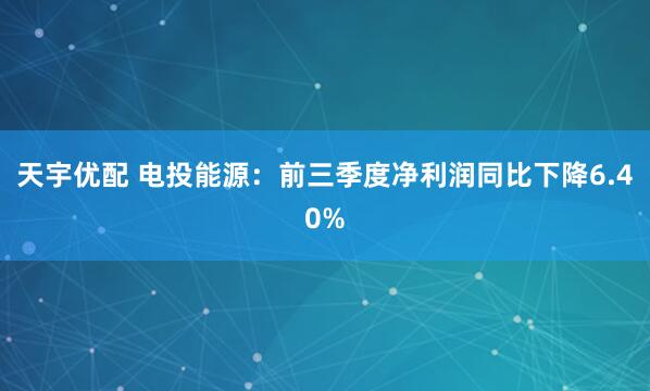 天宇优配 电投能源：前三季度净利润同比下降6.40%