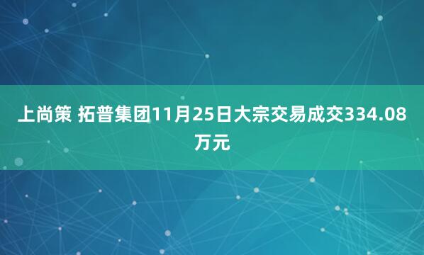 上尚策 拓普集团11月25日大宗交易成交334.08万元