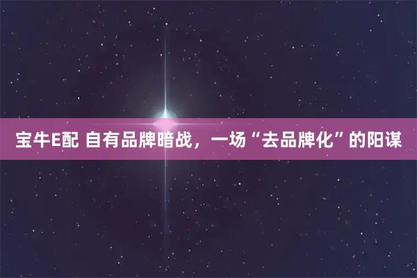宝牛E配 自有品牌暗战，一场“去品牌化”的阳谋
